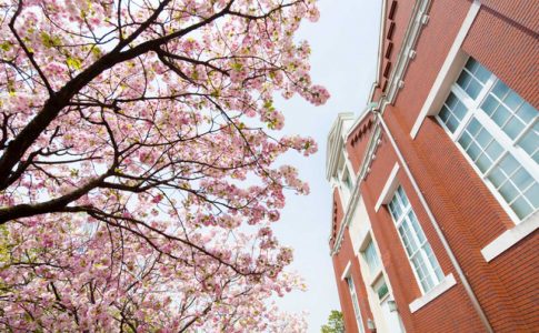 「造幣局」と「桜の通り抜け」