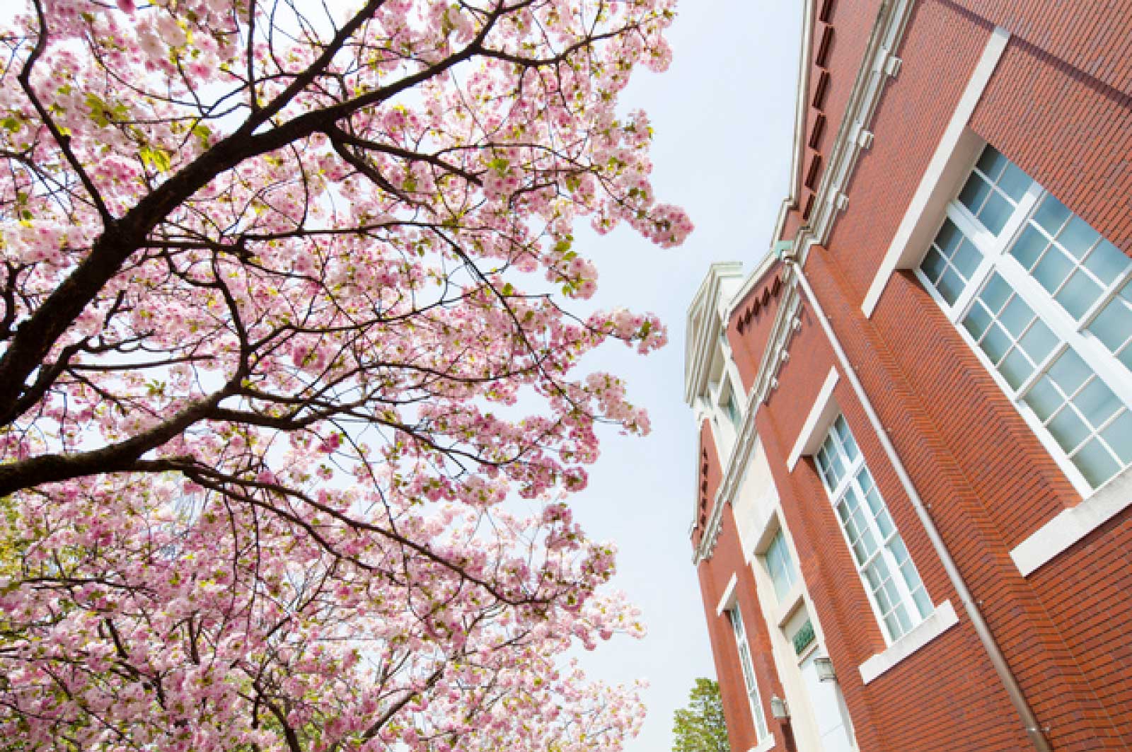 「造幣局」と「桜の通り抜け」