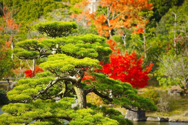 日本政府主導で造園された庭園