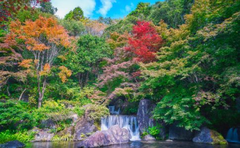 日本庭園