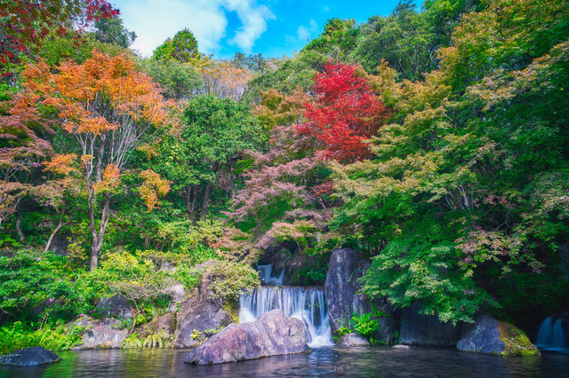 日本庭園