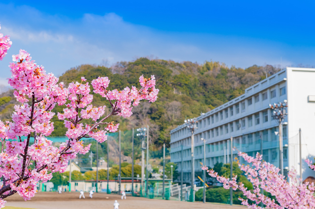 母校・仙台一高