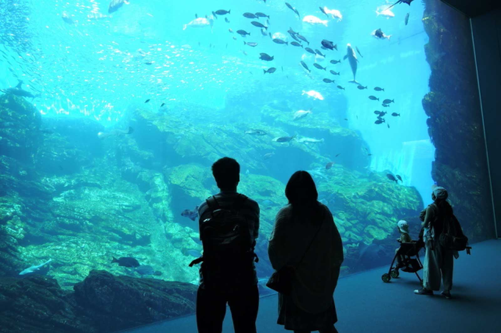 水族館が9時から18時まで