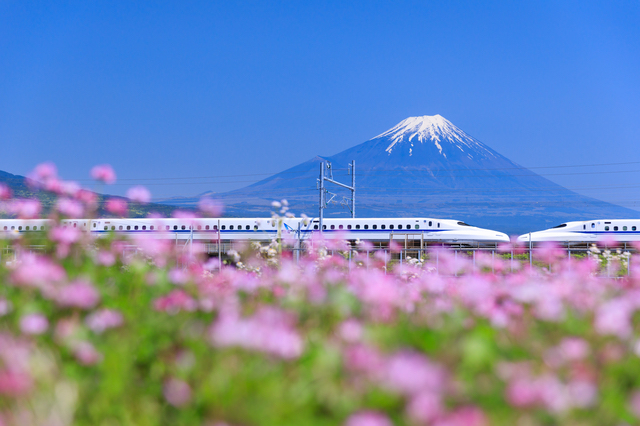 静岡はものすごく住みやすい町