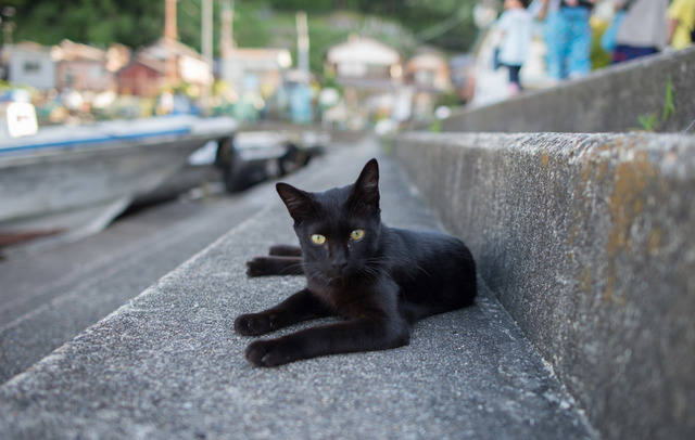 猫島