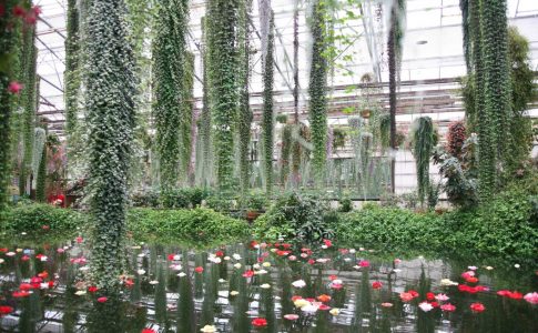 朝霧高原にある富士花鳥園