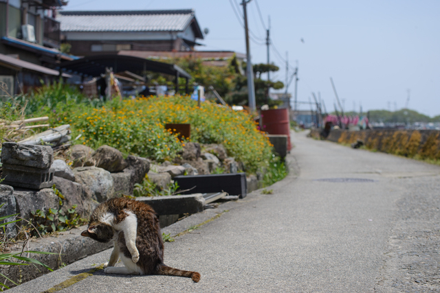 沖島