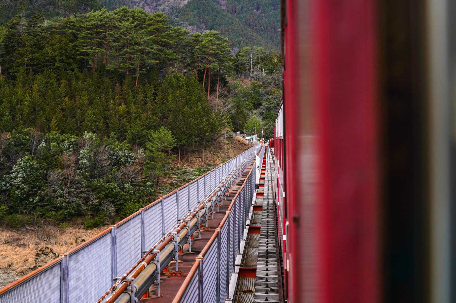 渓谷沿いを走るトロッコ列車