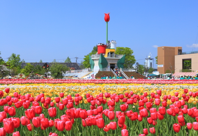 砺波チューリップ公園