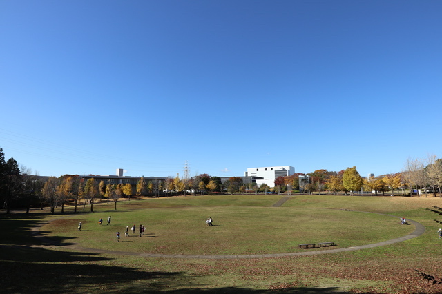 科学万博記念公園