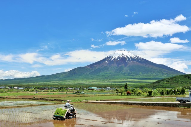 山梨