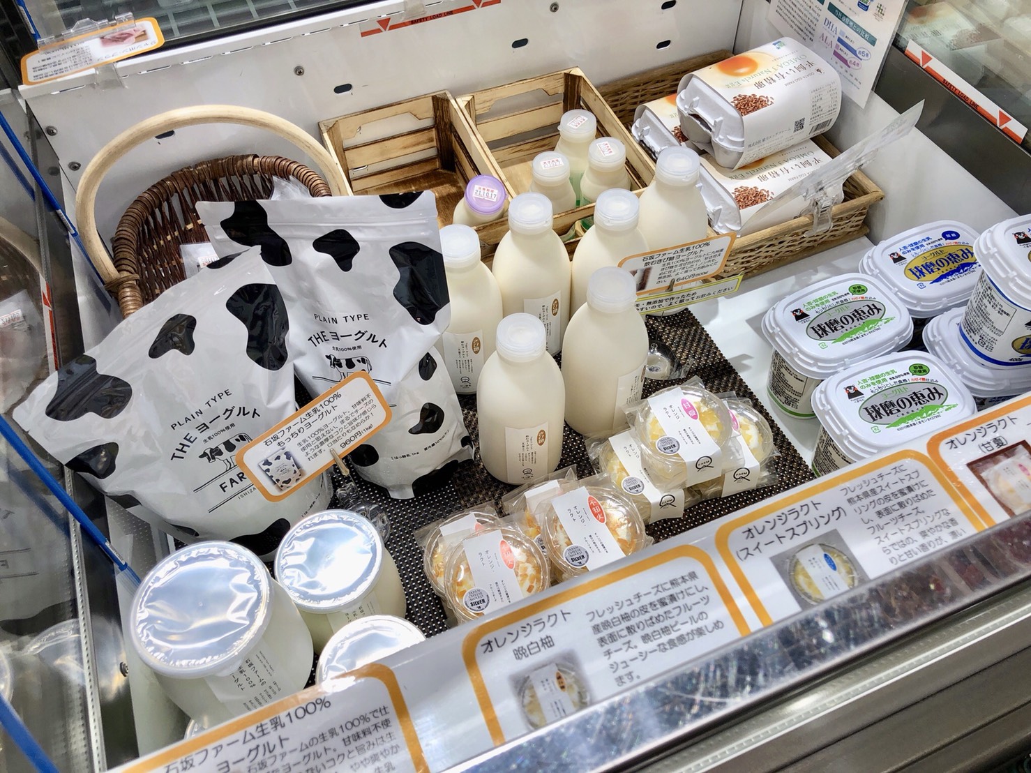 熊本産の乳製品たち