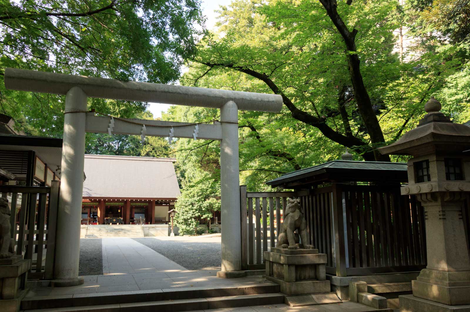 乃木神社・境内