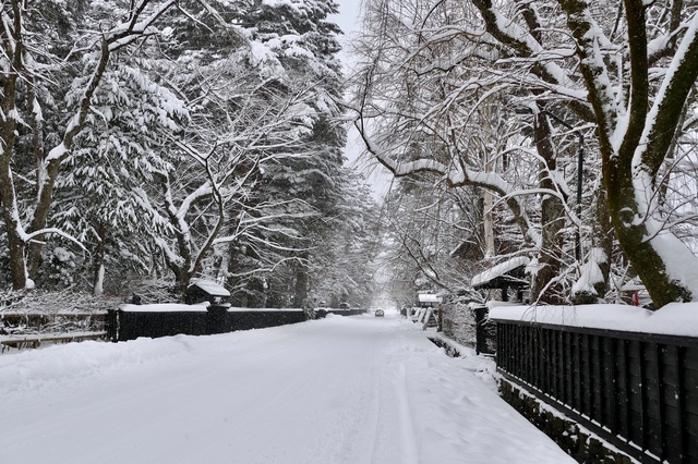 冬の雪に包まれた歴史的な街並み