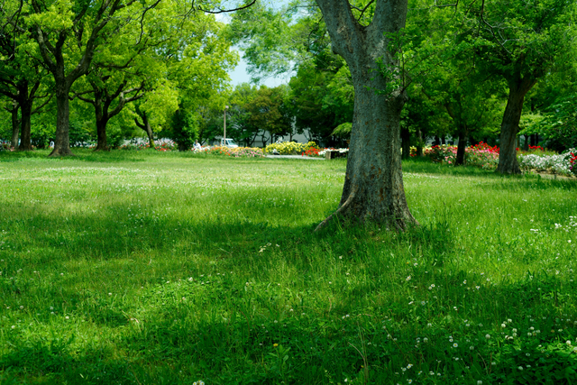 新緑の尼崎農業公園