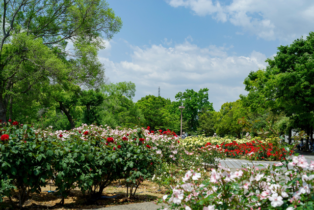 尼崎農業公園