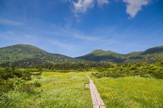 八甲田山