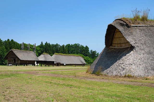 存在は江戸時代から知られていた