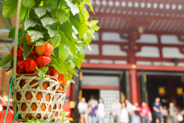 浅草寺のほおずき市