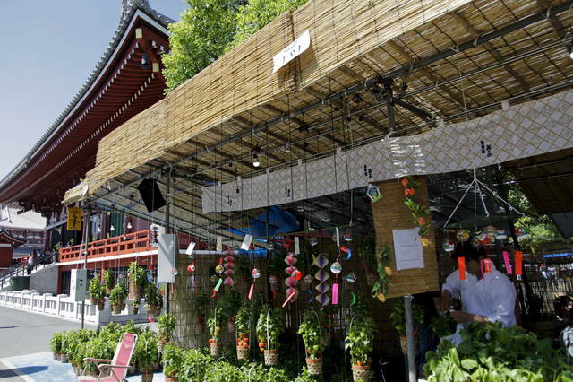 浅草寺・ほおずき市