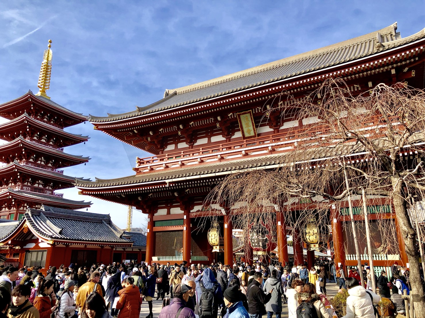 宝蔵門と五重塔