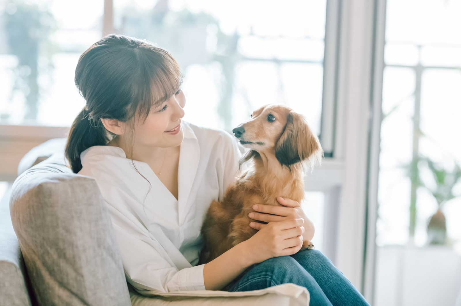 犬を飼う独身女性