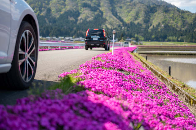 福井県大野市