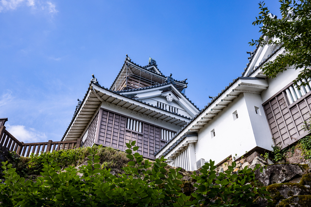 夏の越前大野城