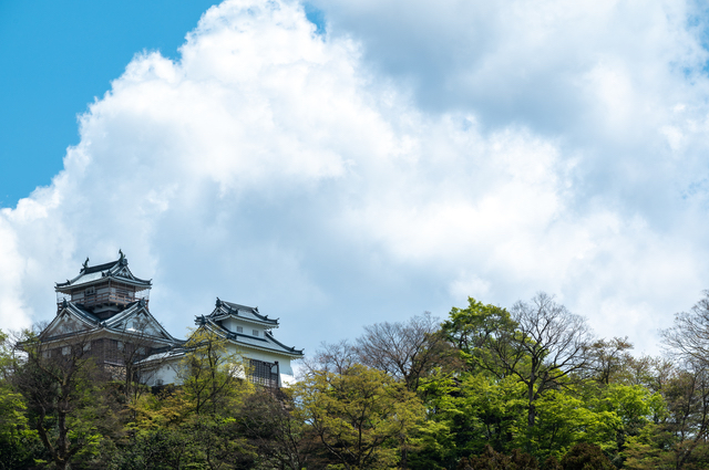 山の上に建つ竹田城