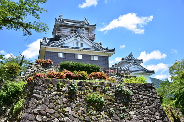 越前大野城