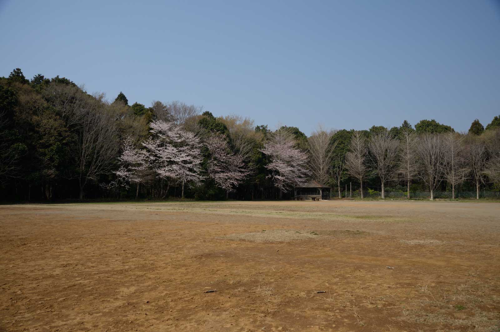 船橋県民の森はその一つ