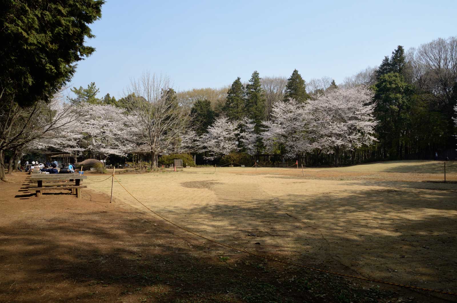 船橋県民の森