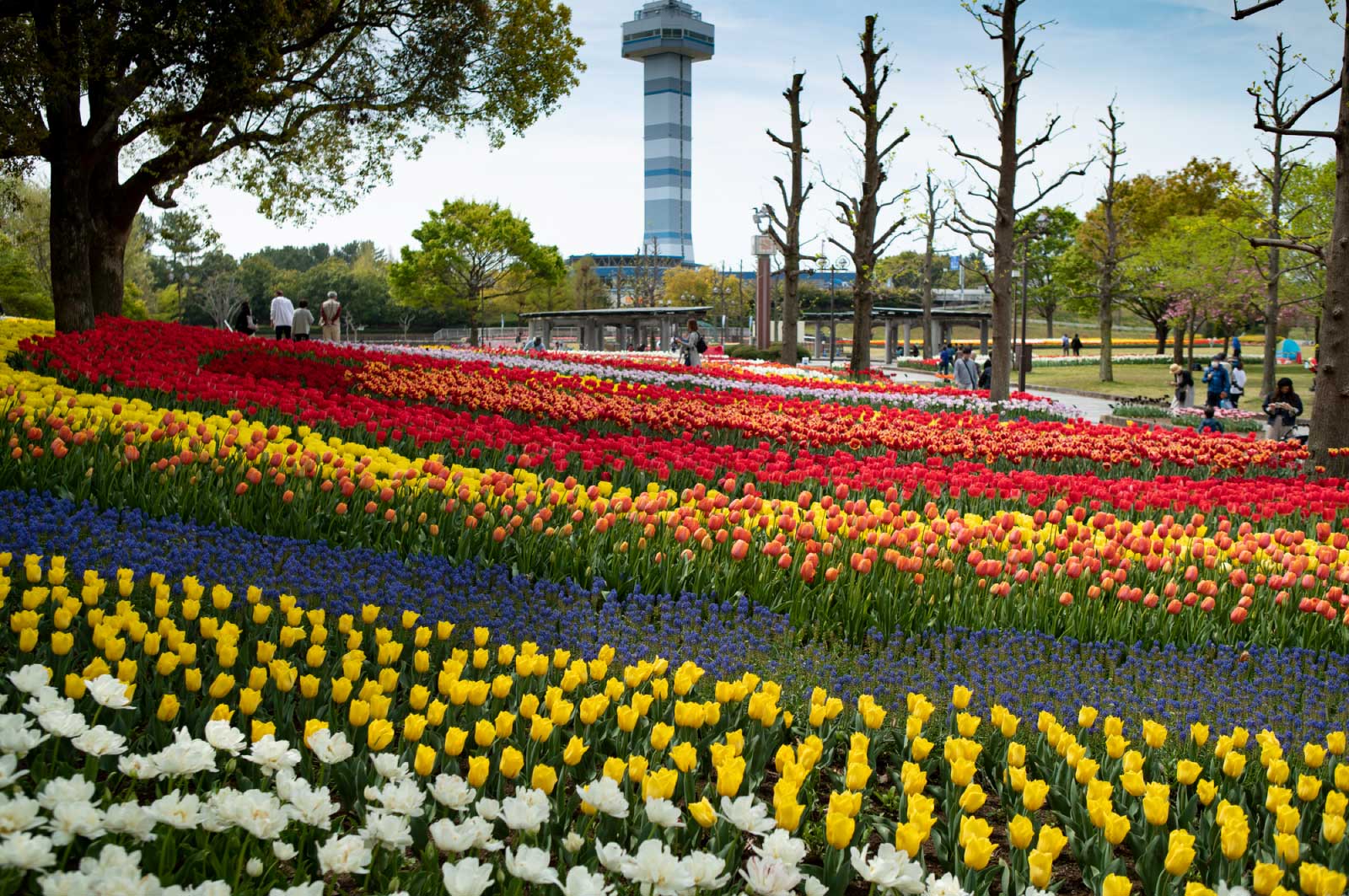 木曽三川公園センター