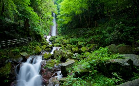 養老の滝