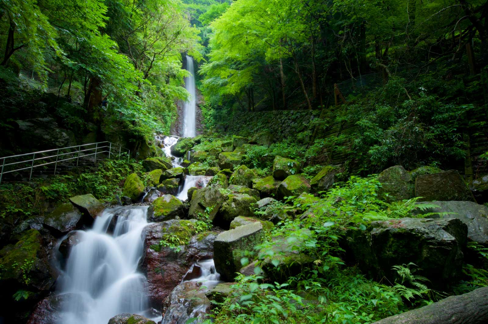 養老の滝