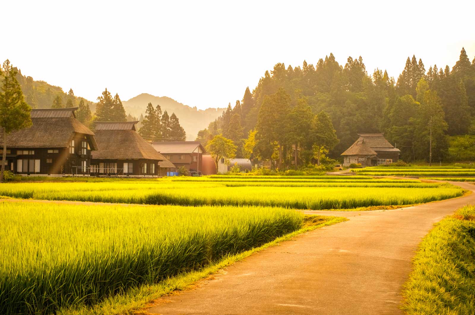 夏の夕暮れ