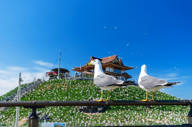 素晴らしいじゃないですか、八戸市