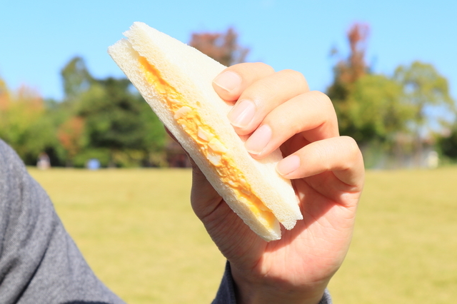 東大阪・花園中央公園で食べるサンドイッチ