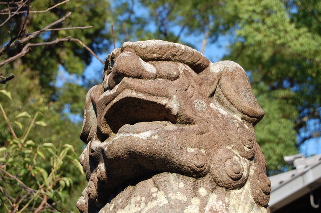 片埜神社の狛犬