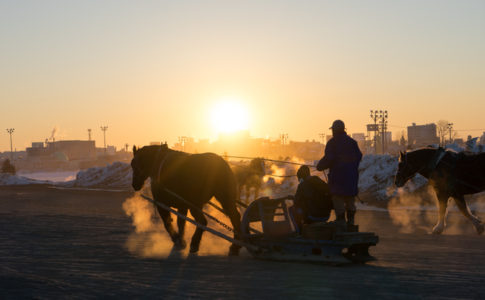 ばんえい十勝 帯広競馬場