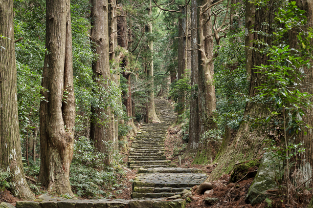 和歌山・熊野古道（那智大門）