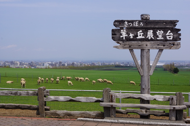 さっぽろ羊ヶ丘展望台