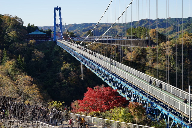 紅葉の竜神大吊橋