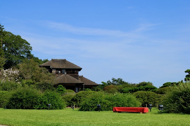 夏の偕楽園