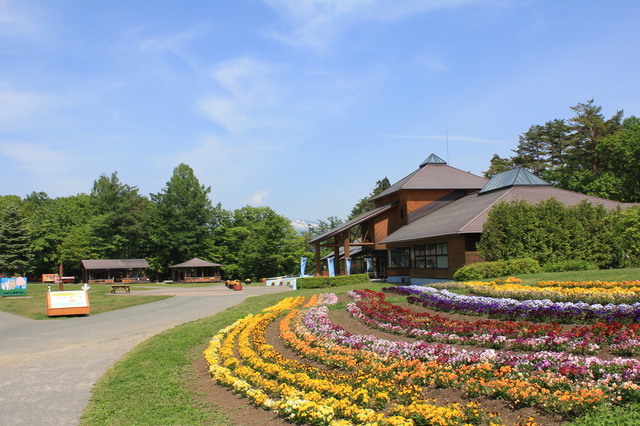 小岩井農場の花壇