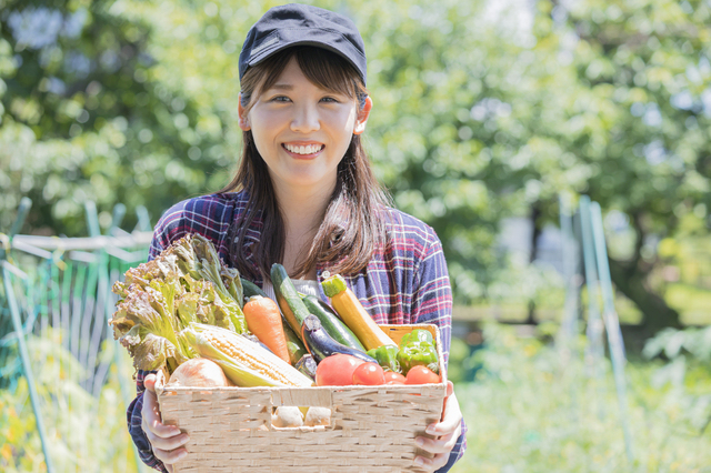 野菜を収穫する女性