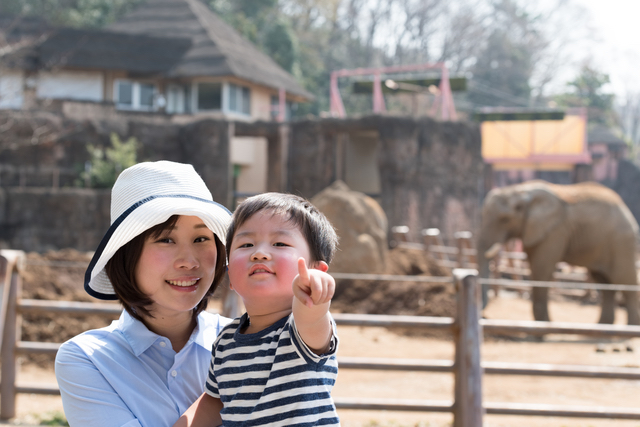 息子と動物園にて