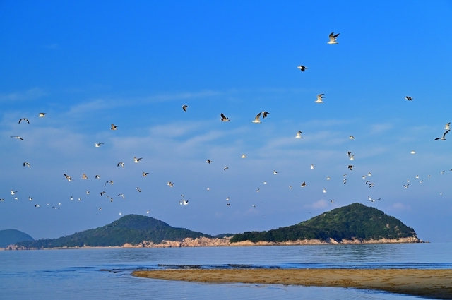 瀬戸内海（父母ヶ浜）