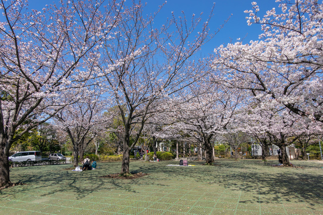 行船公園