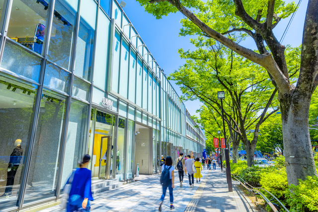 おしゃれな街・原宿（表参道）